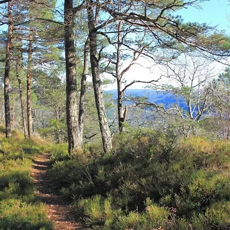 Velkommen Til Vakre Apartamento *